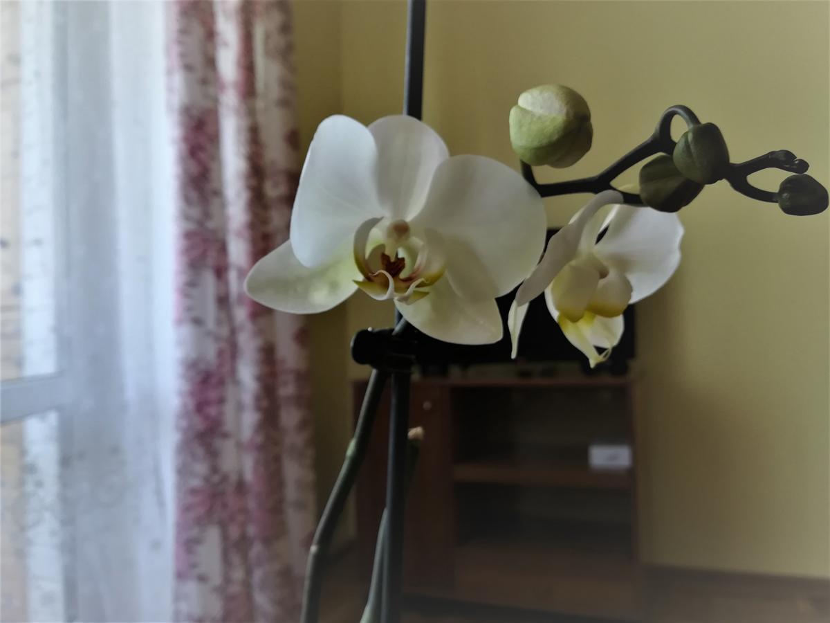 Apartament Na Adamkovskoy Apartament Brześć Zewnętrze zdjęcie